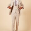 Marc Darcy HM5 Tailored Suit | Stone