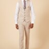 Marc Darcy HM5 Tailored Suit | Stone