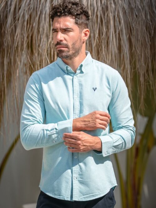 Premium cotton oxford shirt in green