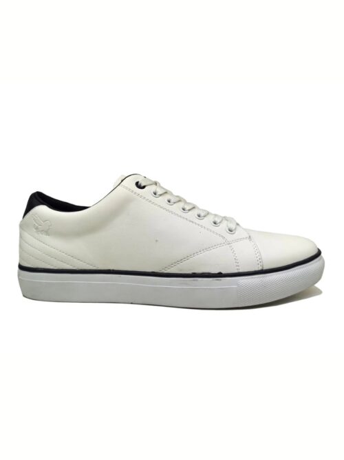 Marcozzi of Venice Basel Trainer | Ice