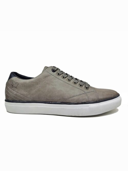 Marcozzi of Venice Basel Trainer | Slate