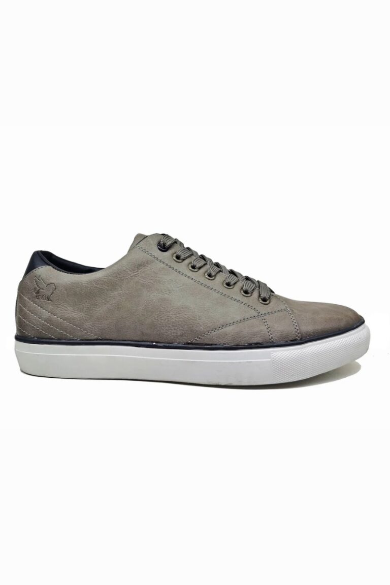 Marcozzi of Venice Basel Trainer | Slate